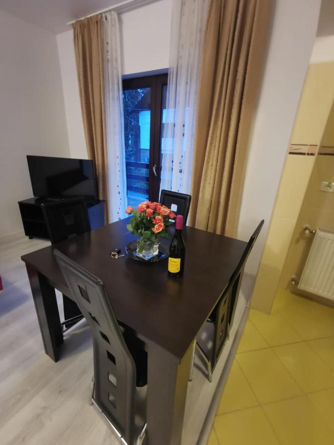 Residence Sinaia Apartment 외부 사진